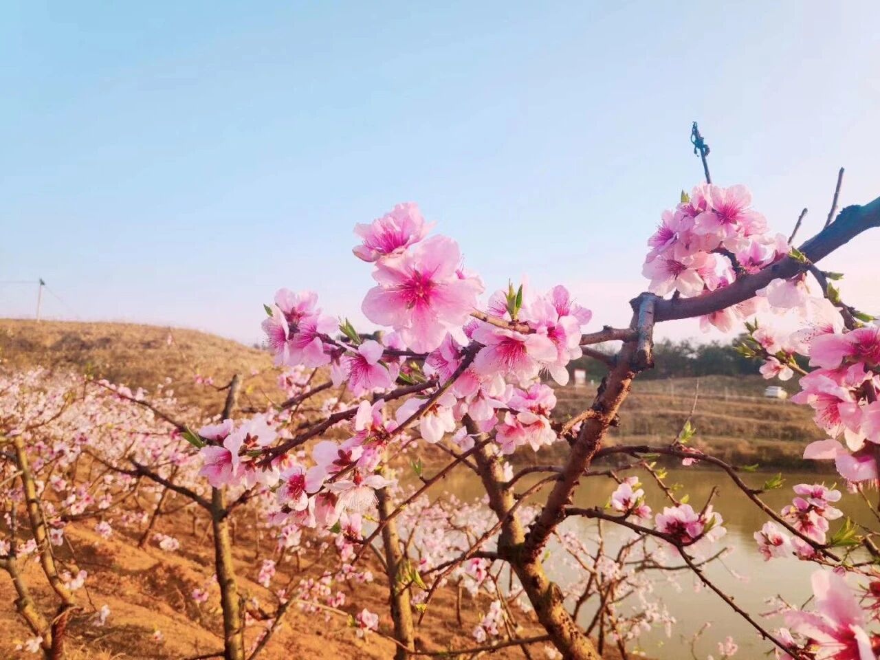 孩子计算速度慢，准确率低，家长可以这样做！（附各年级练习题）