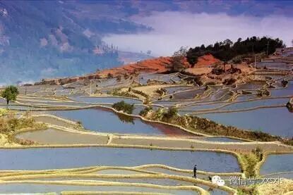 “早知道，少犯错”，小学数学最容易错的26个知识