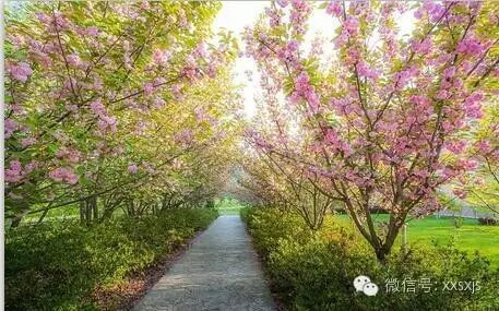 孩子为什么“上课听懂了，下笔做题却总错”？