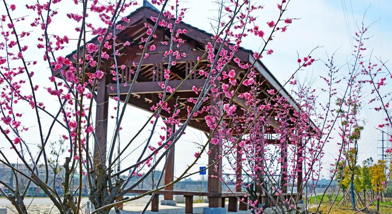 小学数学所有公式和顺口溜都在这里了，让孩子背熟！