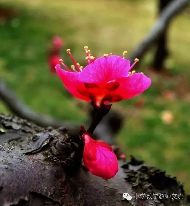 各科背诵方法内容都在这，掌握了高分不发愁。