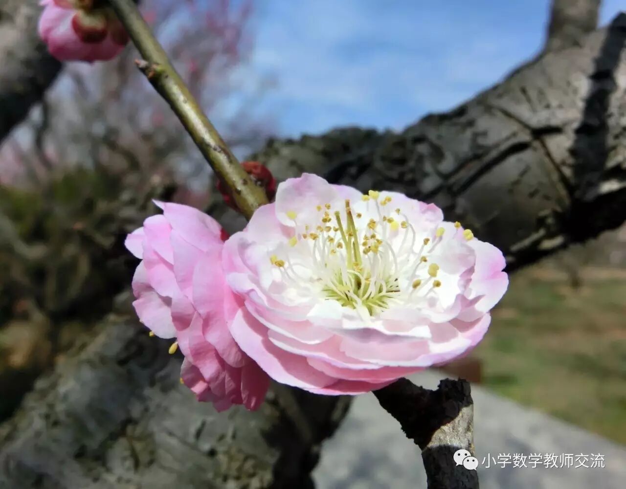 任何优秀的老师都害怕遇到这两种学生！90%的家长却不知道该怎么纠正！