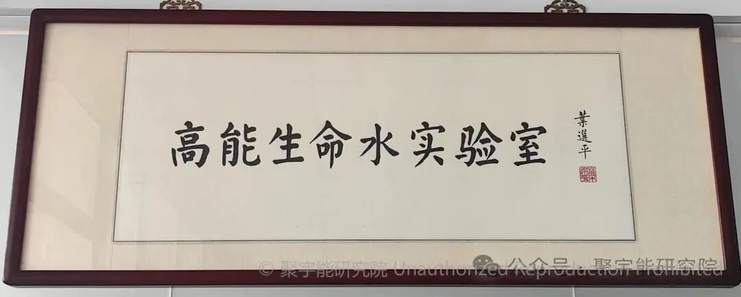 当代岐黄医理科学解读（三十四）：生命动力液比PQQ更胜一筹？(图6)