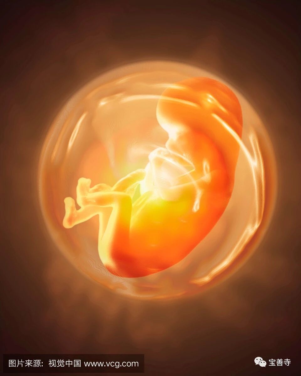 堕胎的果报 千万莫堕胎