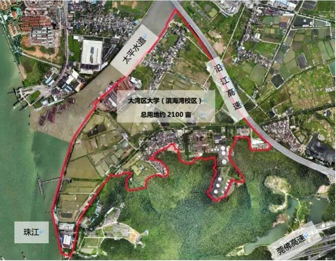 一期工程投资16.69亿，大湾区大学滨海湾校区启动勘察招标！