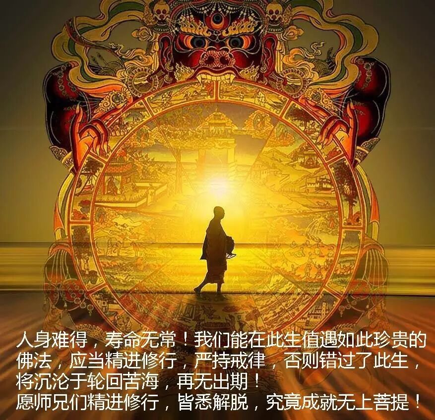 【法师辅导】入菩萨行论善说海(第165节课)