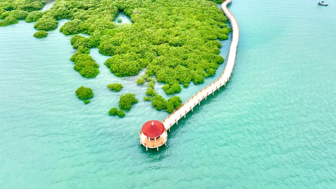 特呈岛。吴东俊 摄