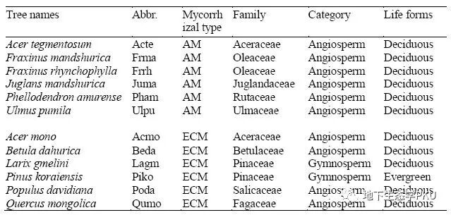 温带森林不同菌根类型树种根际效应的组内变异大于组间变异