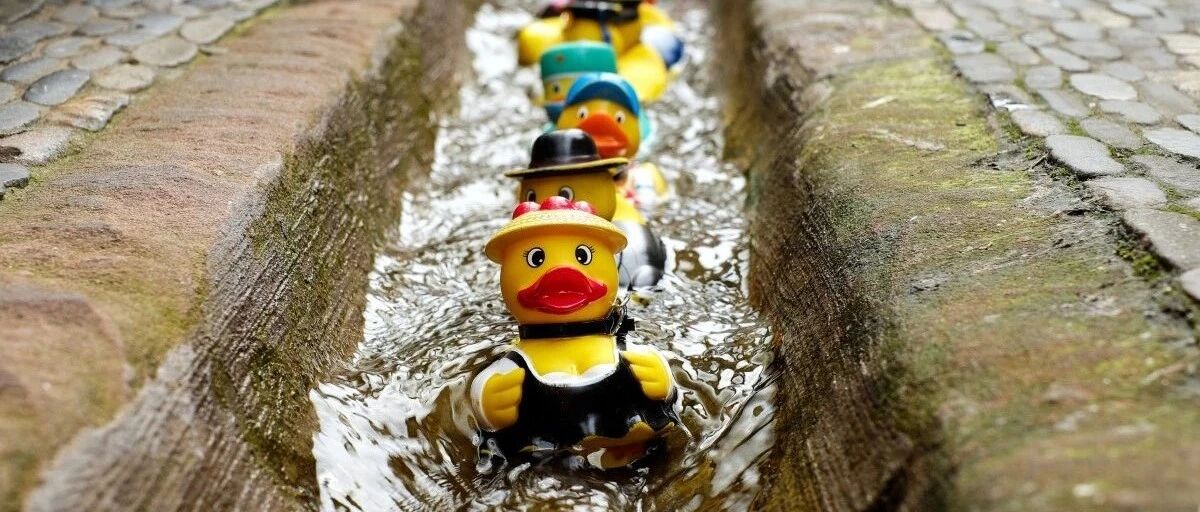 程序员恭喜了！10月起逼自己拿下这个证，年薪68万起！