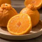 生活助手丨“丑橘”和“耙耙柑”该如何区分？是转基因水果吗？建议弄懂再买不会错