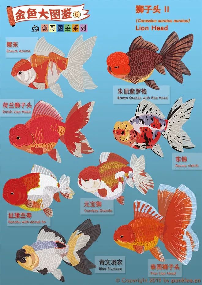 金魚大圖鑑 獅子頭 下 動物世界 微文庫