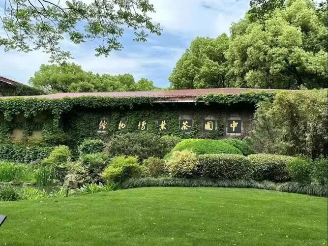 茶叶博物馆双峰馆区白墙拱门