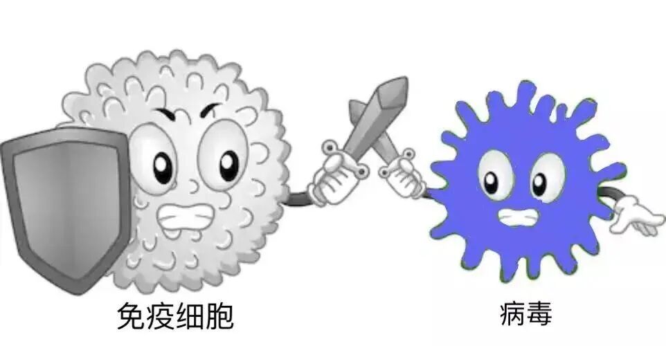 东营经济技术开发区 健康科普 【卫生健康宣传日】世界强化免疫日