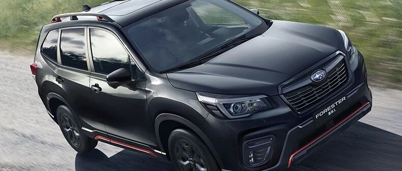 操控性能双标杆 新森林人带你看更大的世界