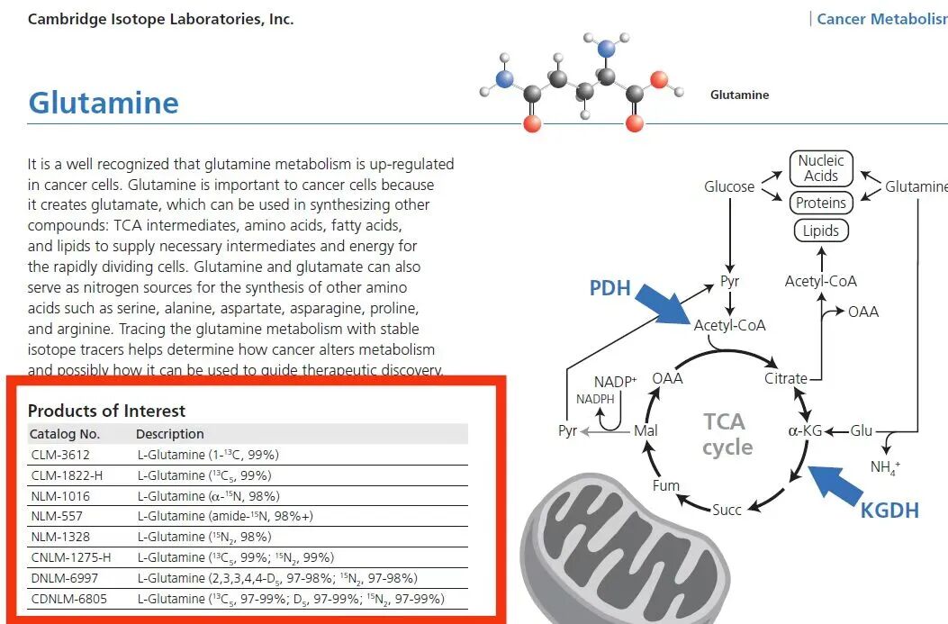 稳定同位素在代谢流分析中的应用