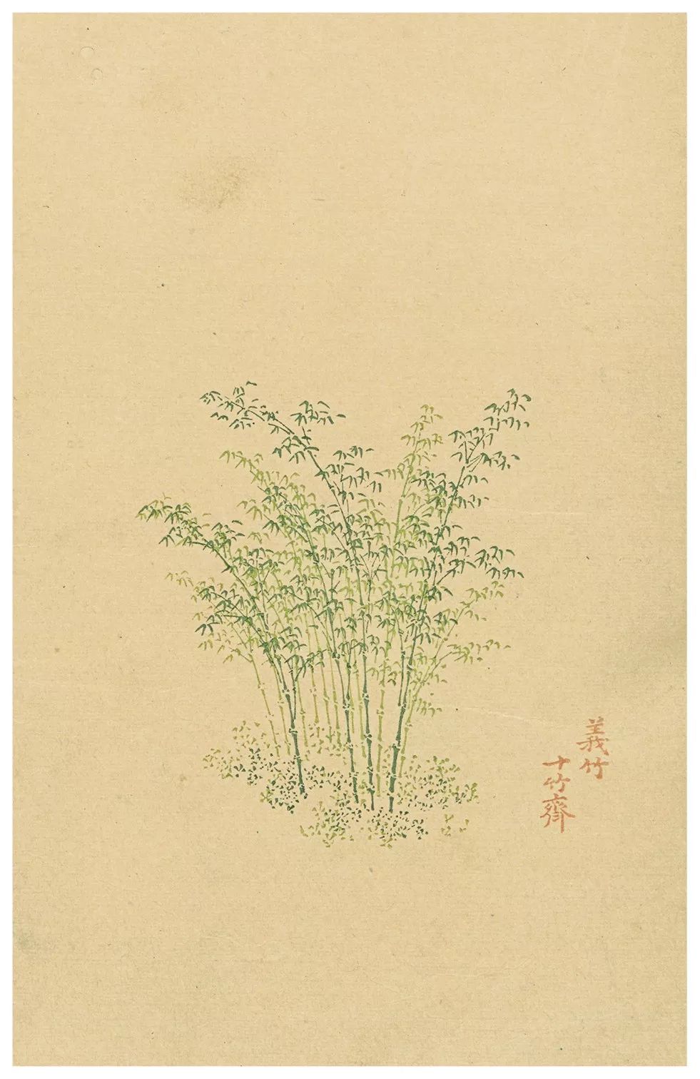 宣傳圖冊(cè)印刷價(jià)格_彩色圖冊(cè)印刷_圖冊(cè)印刷報(bào)價(jià)