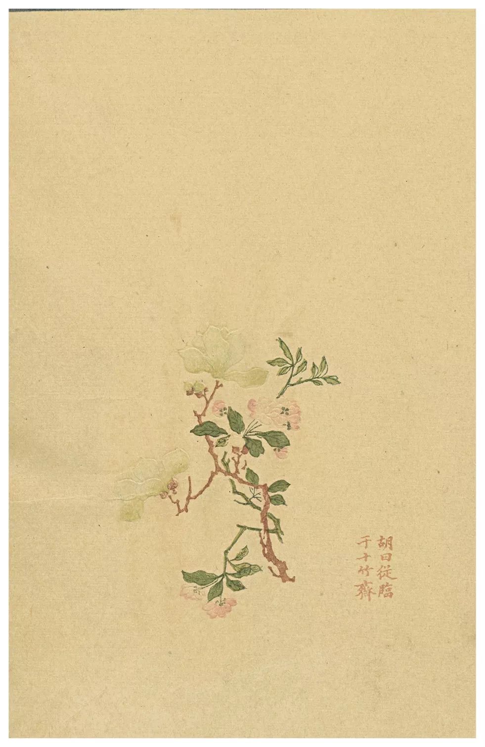 彩色圖冊(cè)印刷_宣傳圖冊(cè)印刷價(jià)格_圖冊(cè)印刷報(bào)價(jià)