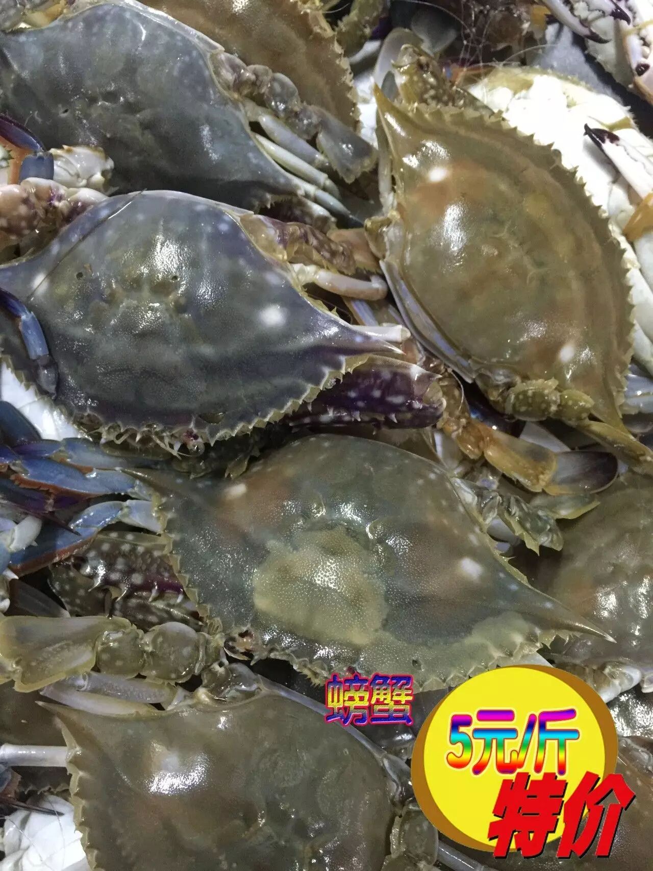 今日刚到海鲜欢迎大家前来选购!