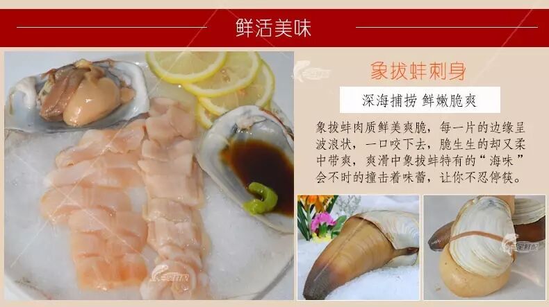 海呲的营养价值以及做法,如此美味抓紧来鹏旎海鲜抢购吧6.5元/斤!