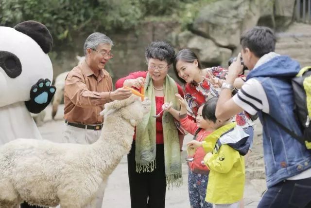 雅安市旅游景点推荐_雅安旅游胜地_雅安的旅游