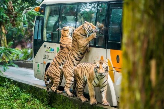 雅安市旅游景点推荐_雅安的旅游_雅安旅游胜地