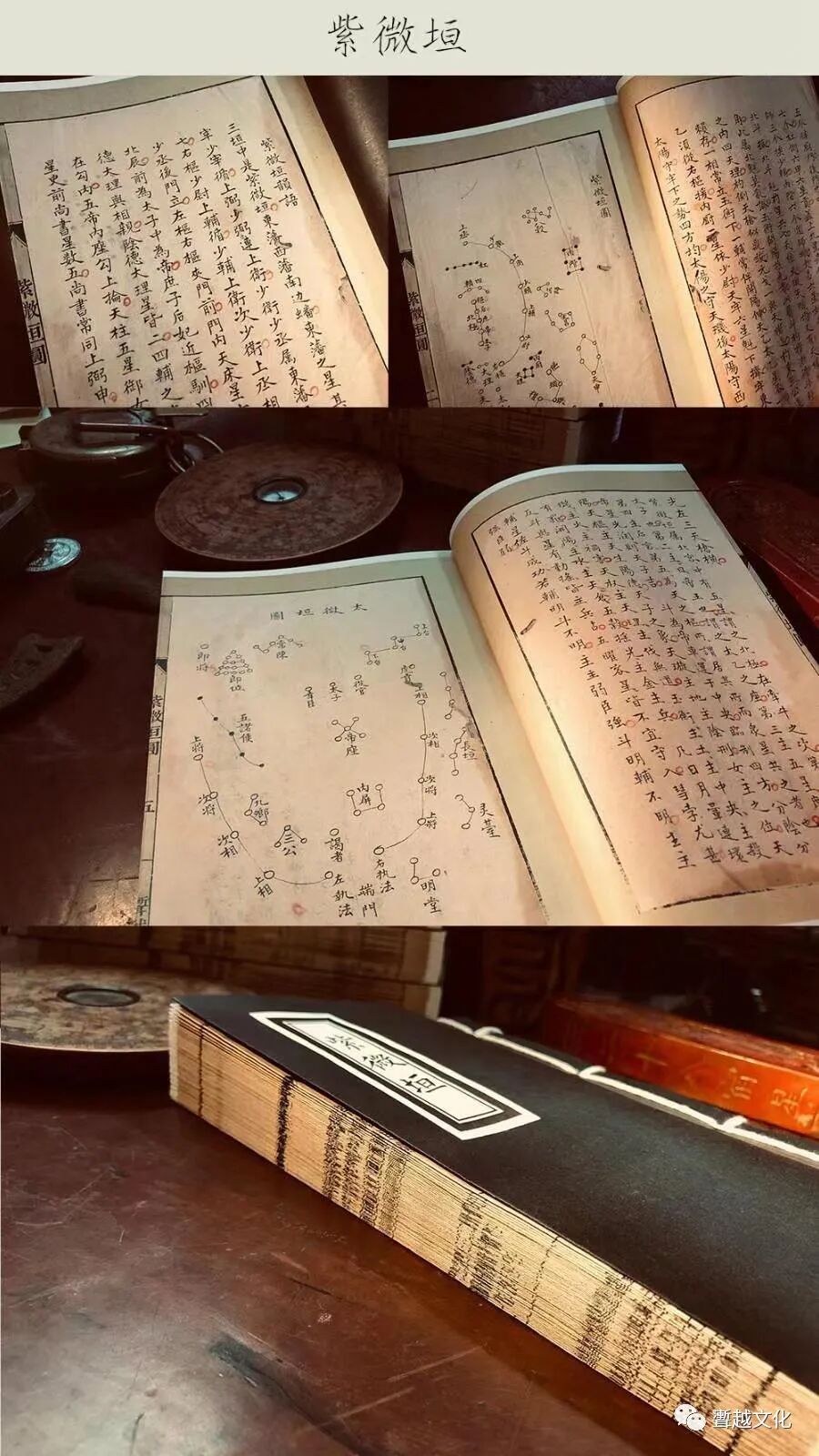 额头两边突出像龙角面相_额头凸起像两个龙角_额头两边鼓起像龙角面相