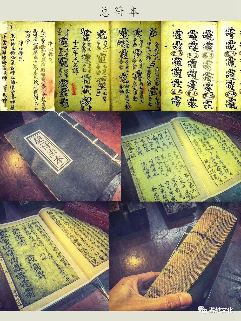 额头凸起像两个龙角_额头两边鼓起像龙角面相_额头两边突出像龙角面相