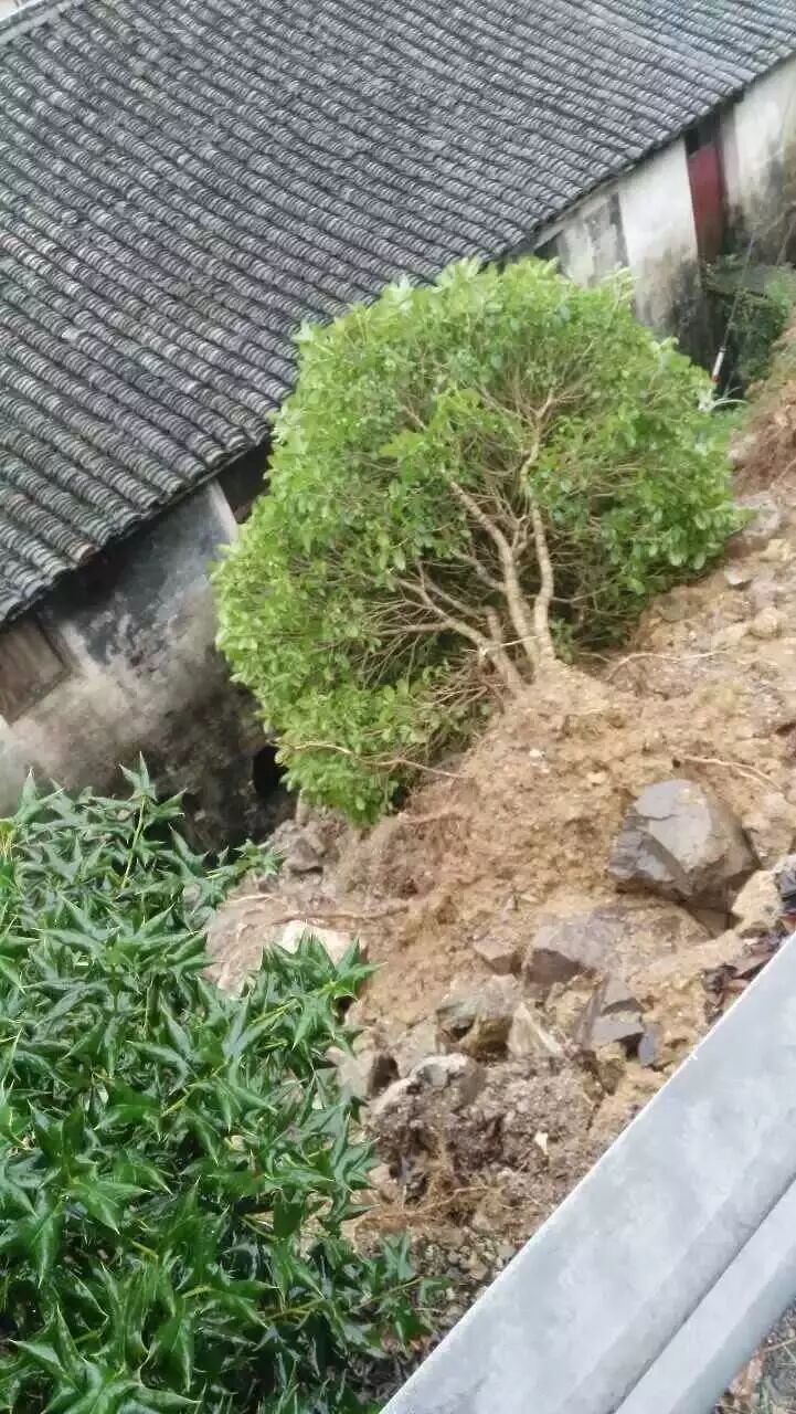 暴雨之后,宁海各地道路情况汇总