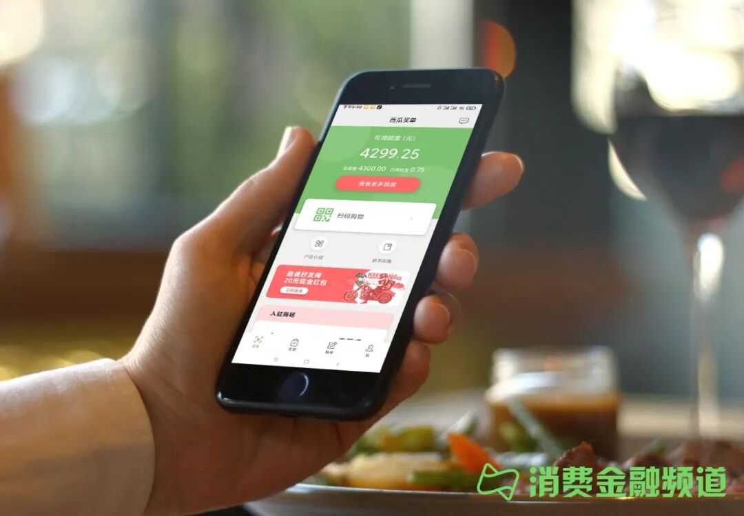 A轮融资近亿美元，西瓜买单要做中国的Afterpay？