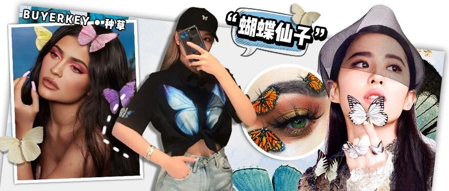 网红，求求你们放过蝴蝶吧！！！