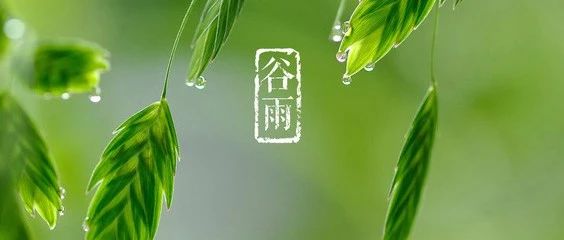 今日谷雨|又“潮”又“火”的时候，你要小心这几种疾病→