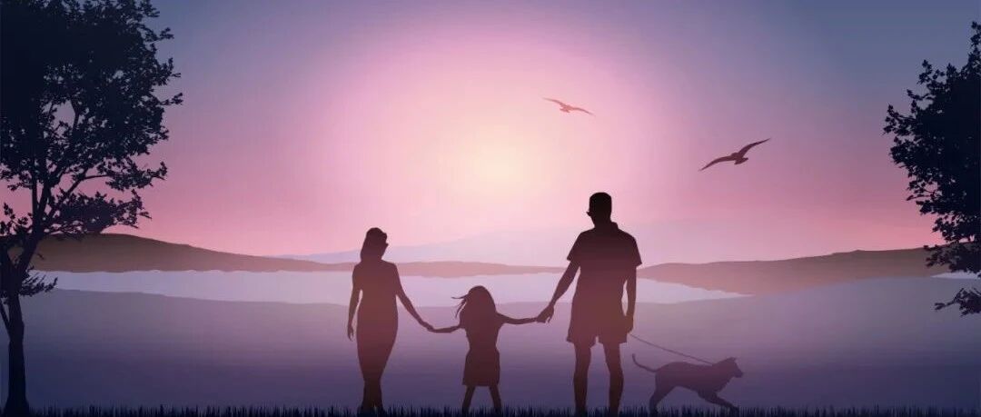 体内的免疫长城，原来是这样抵御病毒的