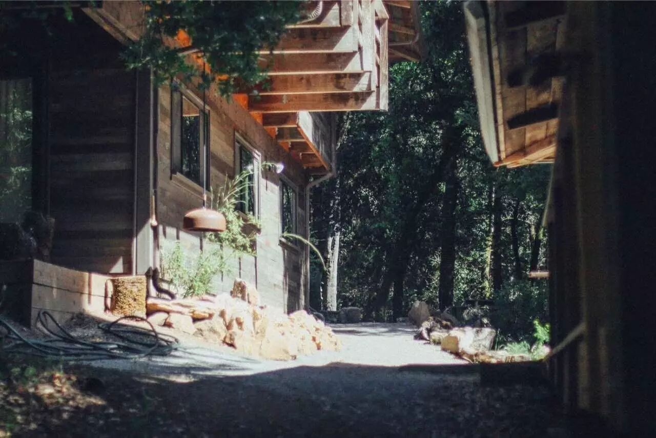 乙川弘文 對喬布斯影響至深的日本禪師 加措活佛 微文庫