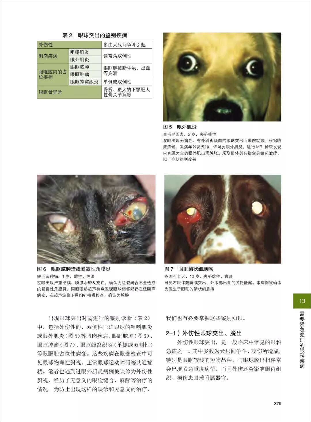 悠森树u0026amp;美尼旺倾情赞助《伴侣动物眼科学》全面预售中- 悠森树兽医 