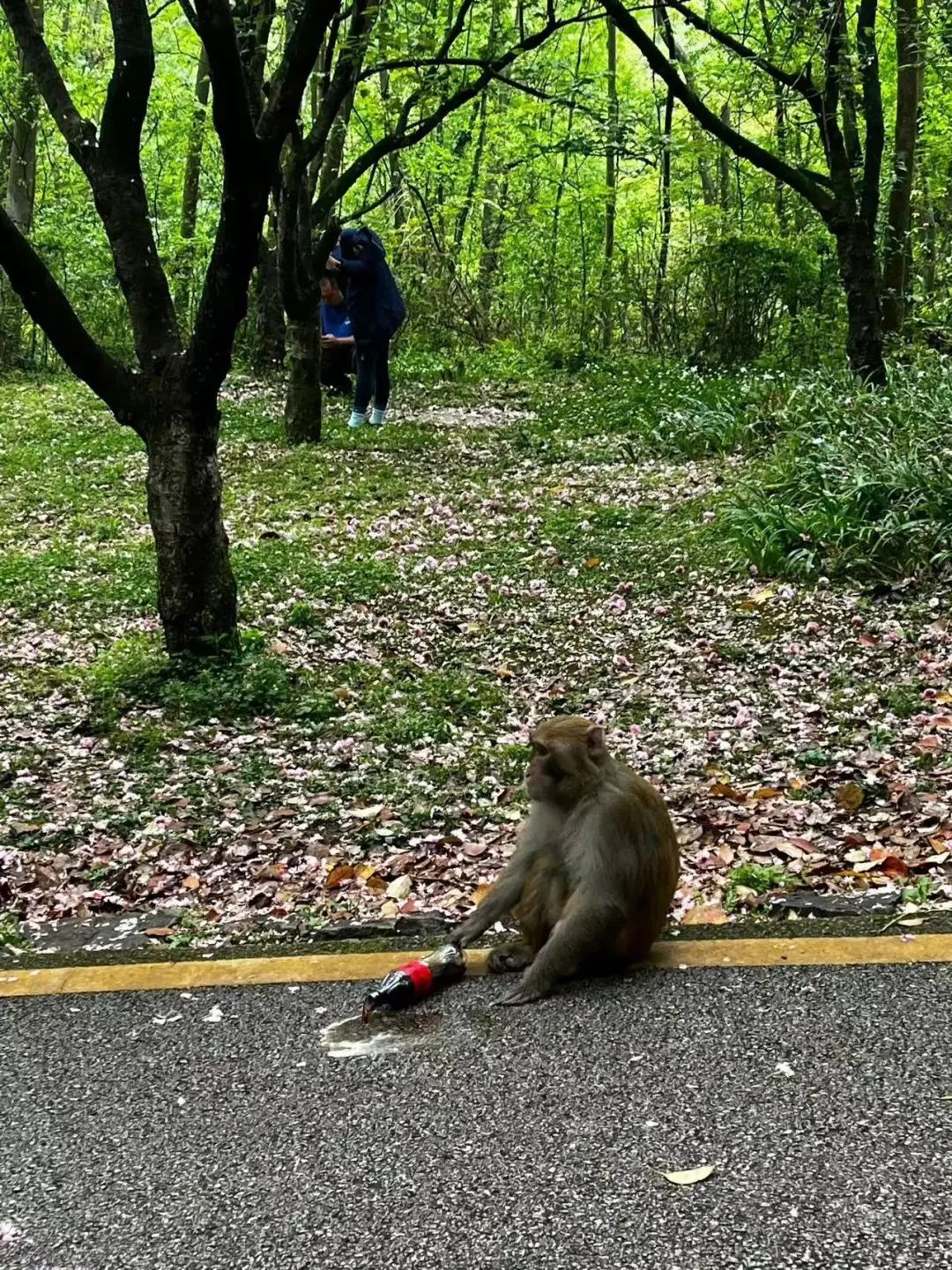 以后不许再叫自己牛马了