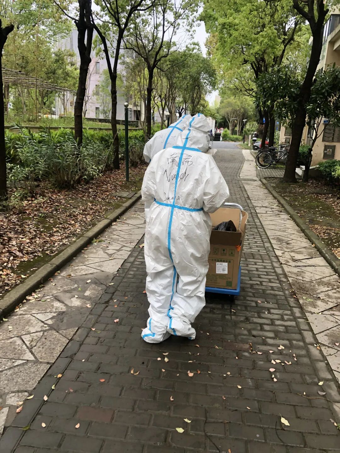 TGA资讯丨三尺讲台传知识，一身大白共抗疫 - 第3张