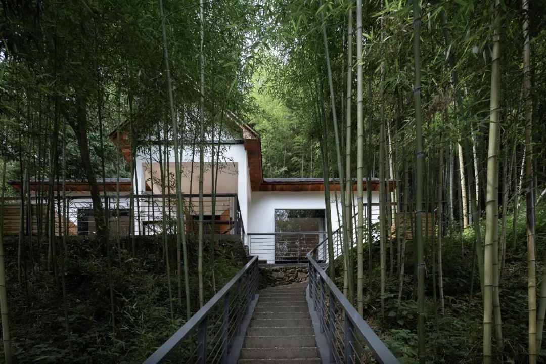 莫幹山獨棟villa！12000 ㎡竹林樂園，瀑布山泉戲水摸魚，睡親子loft星空房，過一日詩意山居 旅遊 第26張