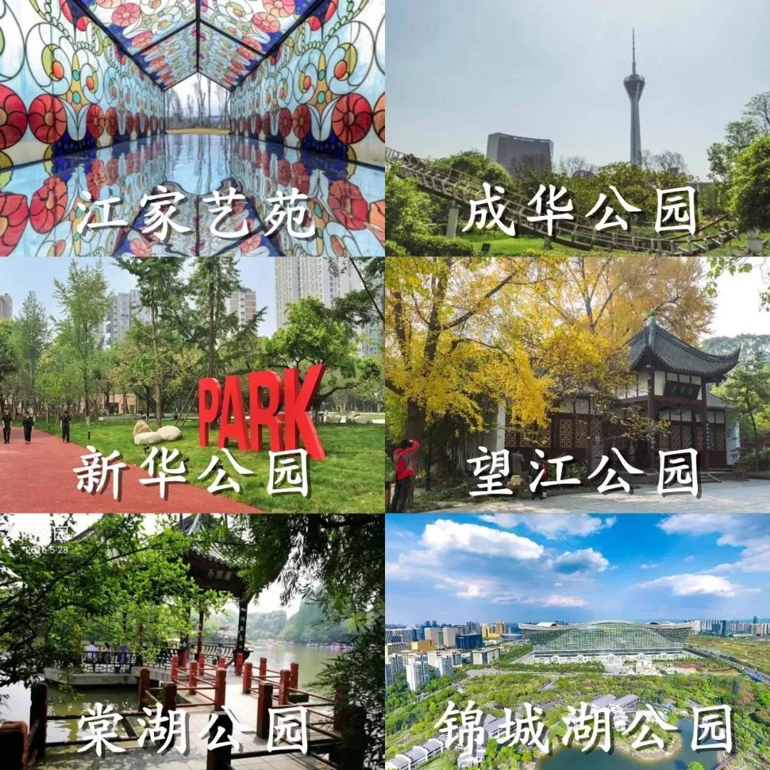 你好，這裡是成都！ 旅遊 第166張