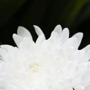 图片[1]-副业赚钱_新闻资讯 |  跨境电商“广州模式”_副业教程-逸佳笔记-专注于副业赚钱教程