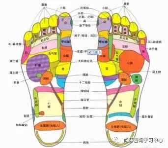 尚赫五行足底技术与反射区的作用 尚赫国际市场运作辅导 微信公众号文章阅读 Wemp