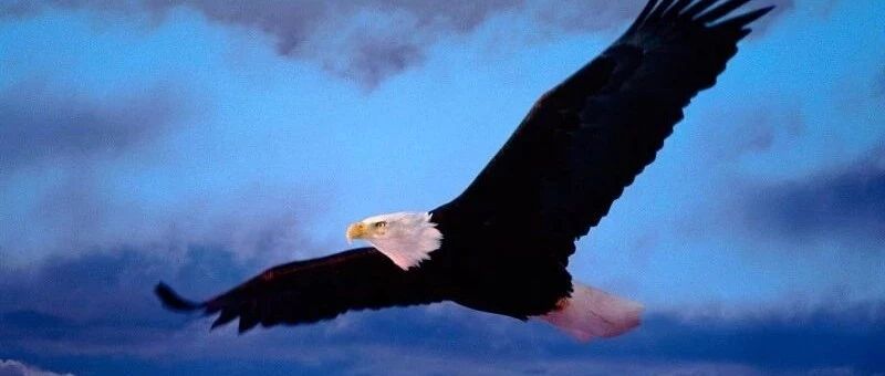 老顾客为什么离你而去，四个理由最真实！