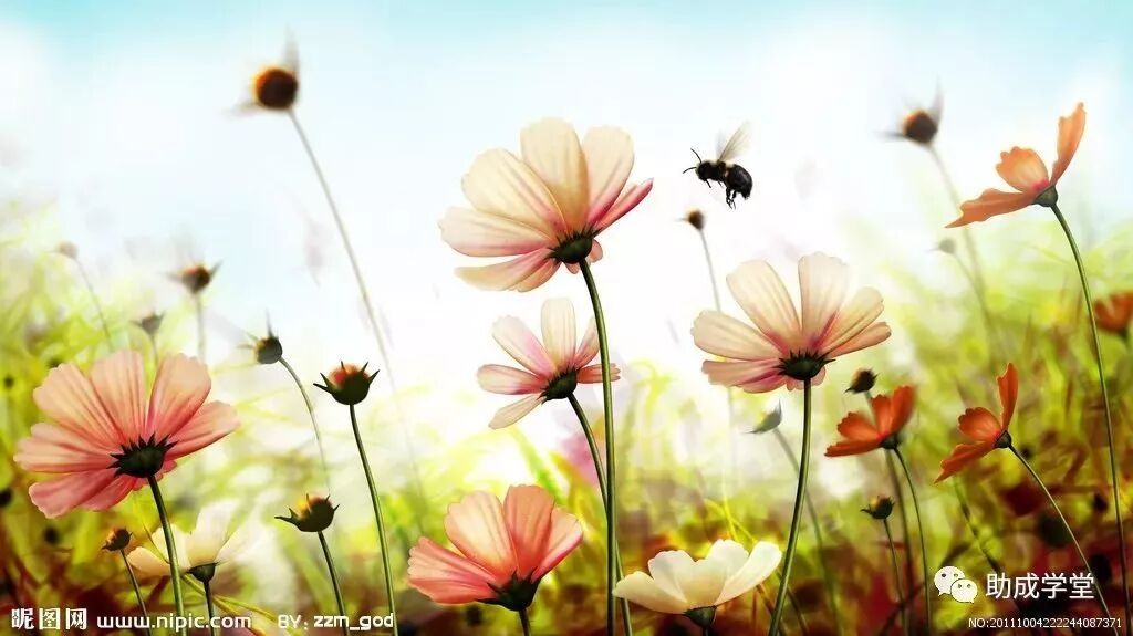 店长如何让销售变得简单