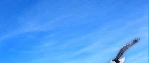 店长这样开晨会，员工一天好心情