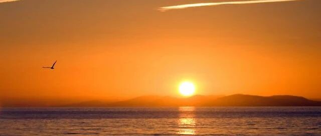 别怪店铺没人，这些标准你达到了吗？