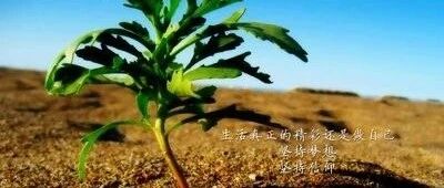 门店人性化管理的十种方法