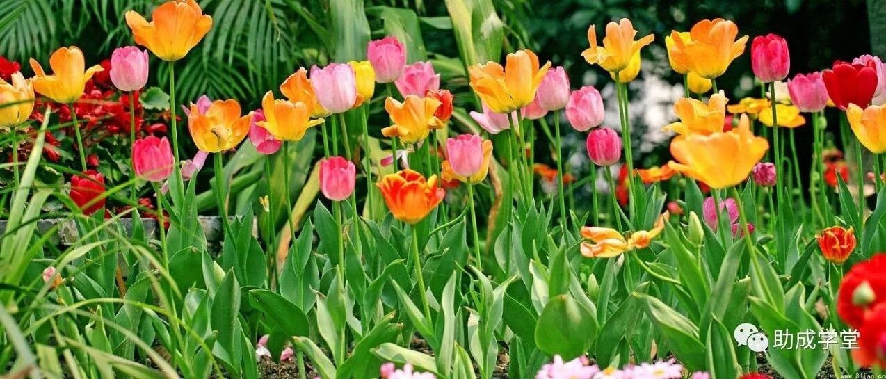 店长如何做好门店管理？