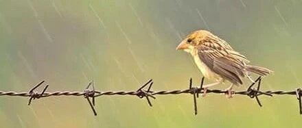 让新员工迅速成长！店长必备这6招