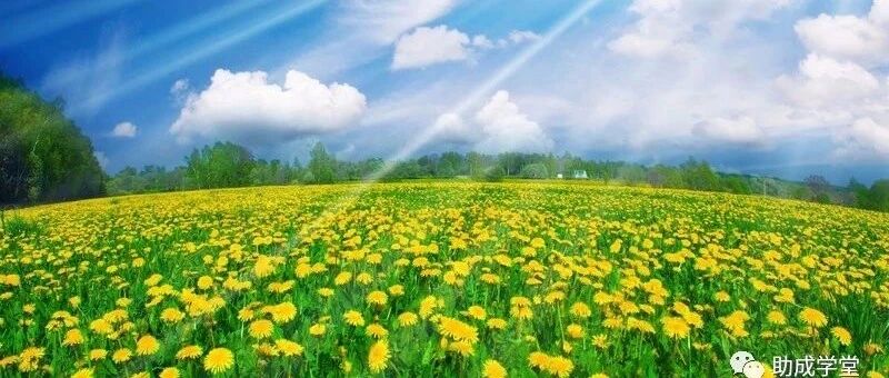 带团队的流程，从新人入职到晋升，太全了！