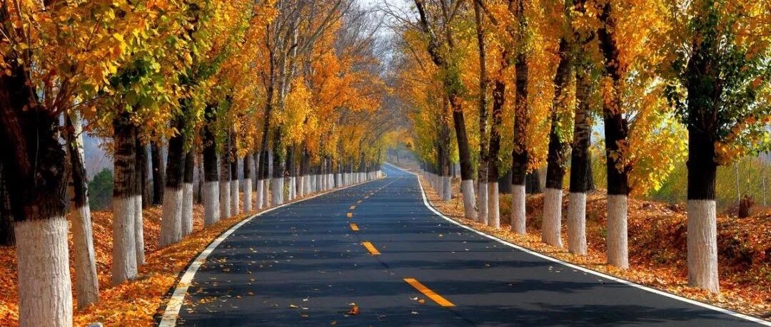 人，一定要懂得拐弯