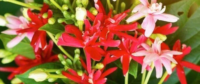 不要做工作中的驴...